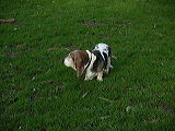 imgp0126