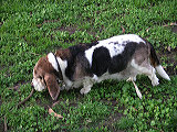 imgp0127