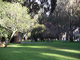 imgp0128