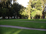 imgp0134