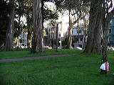 imgp0135