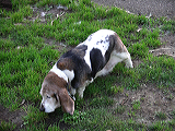 imgp0136