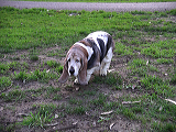 imgp0137