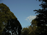 imgp0138