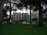 imgp0139