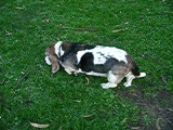 imgp0140