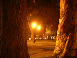 imgp0141