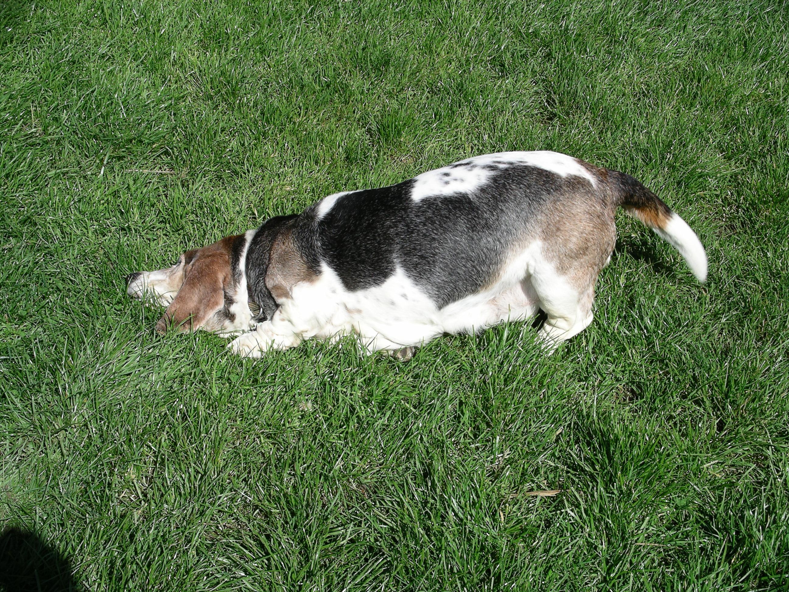 imgp0148.jpg