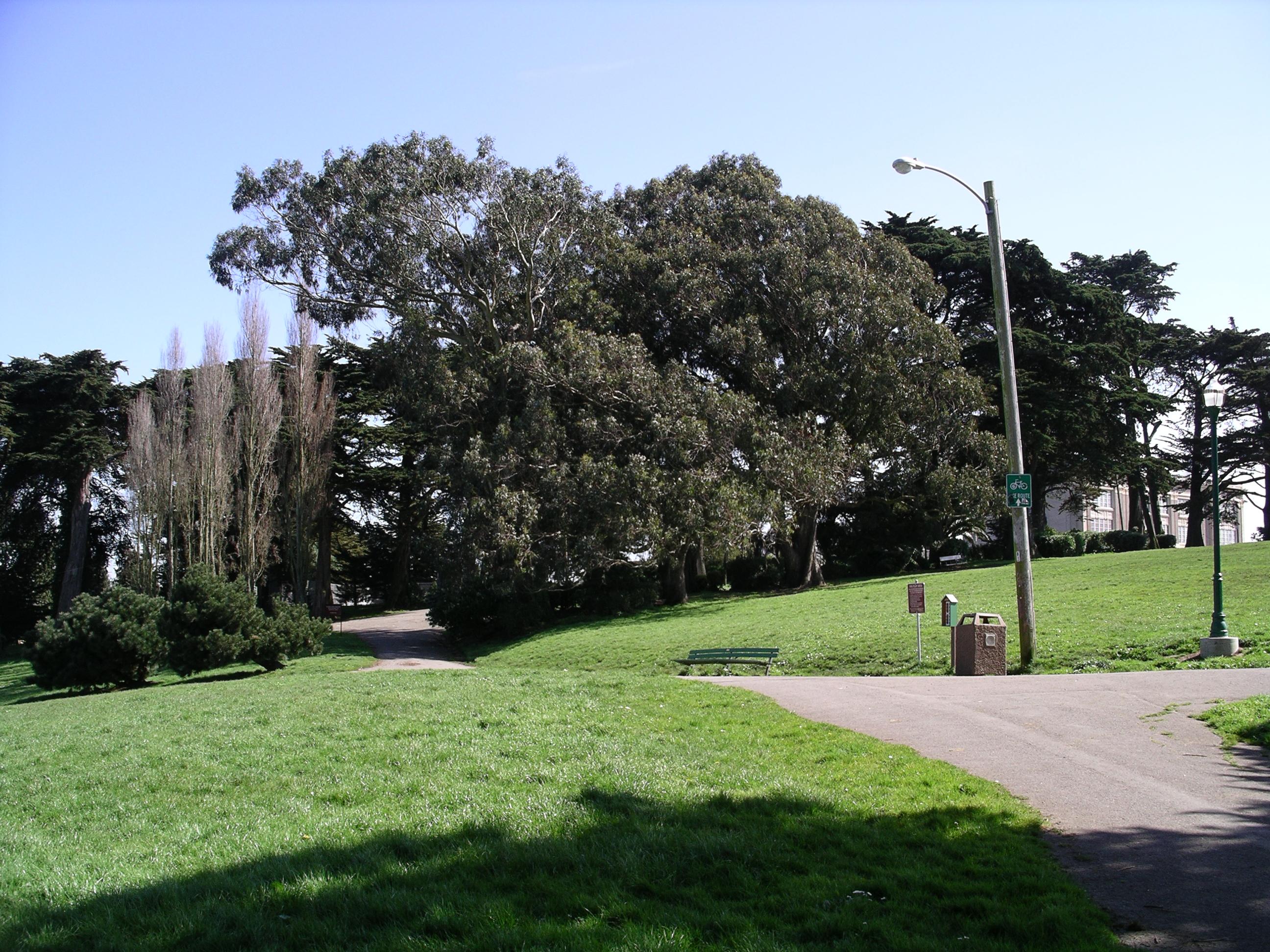 imgp0161.jpg