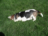 imgp0148