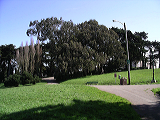 imgp0161