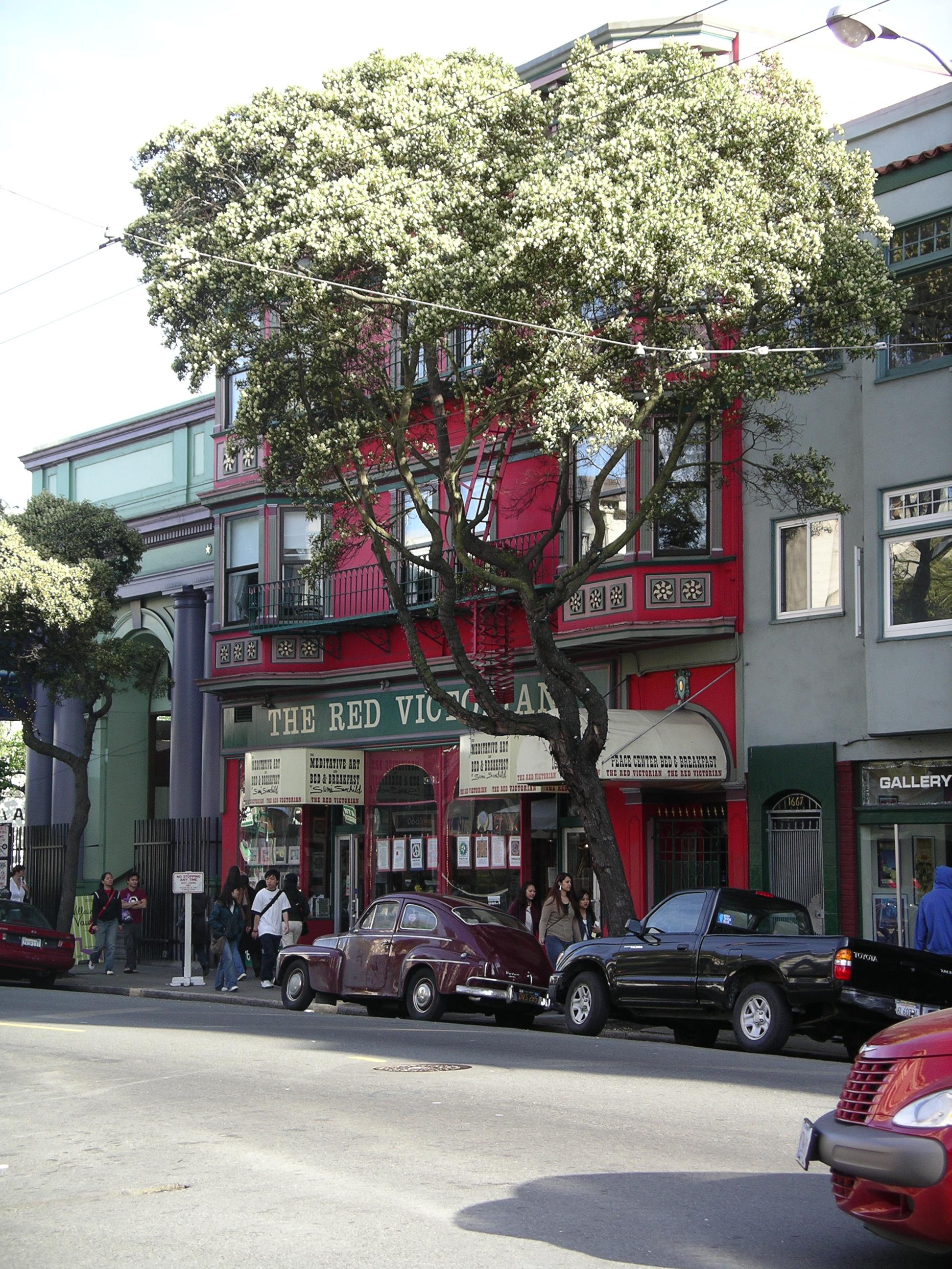 imgp0182.jpg