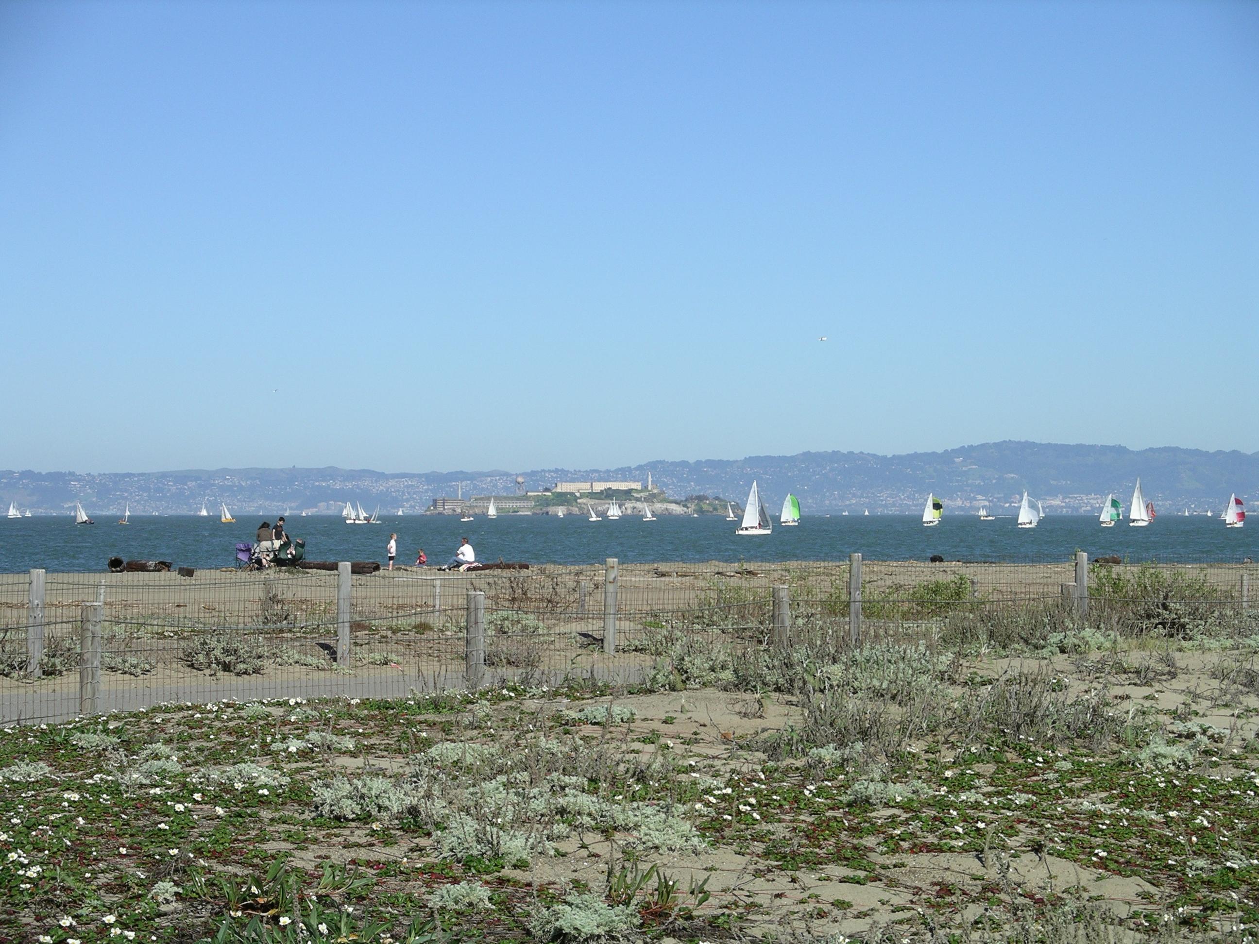 imgp0272.jpg