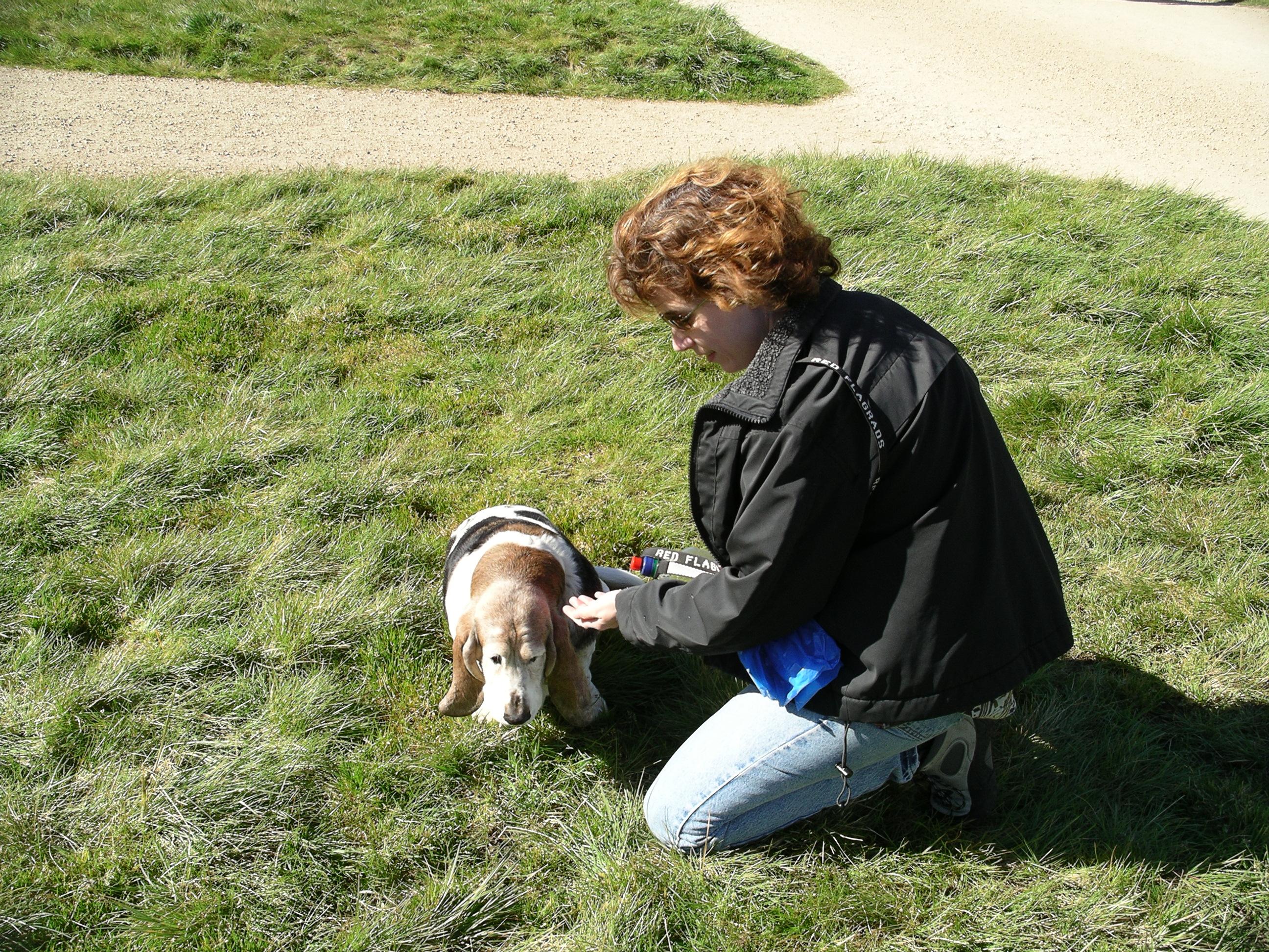 imgp0279.jpg