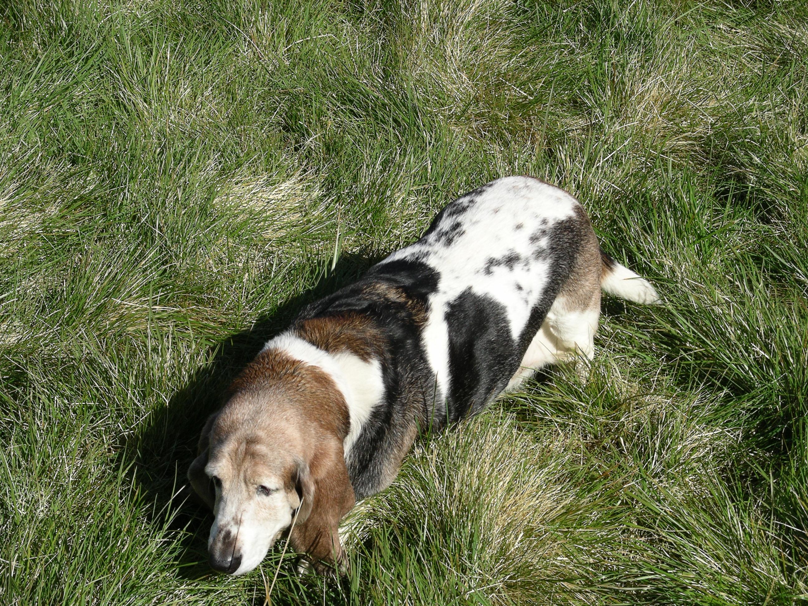 imgp0284.jpg