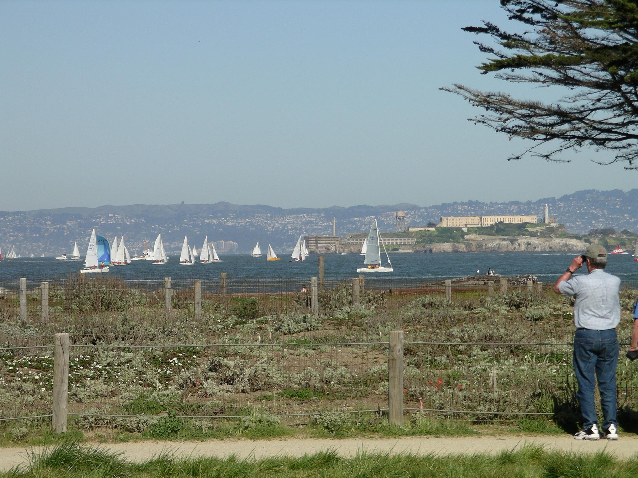 imgp0287.jpg