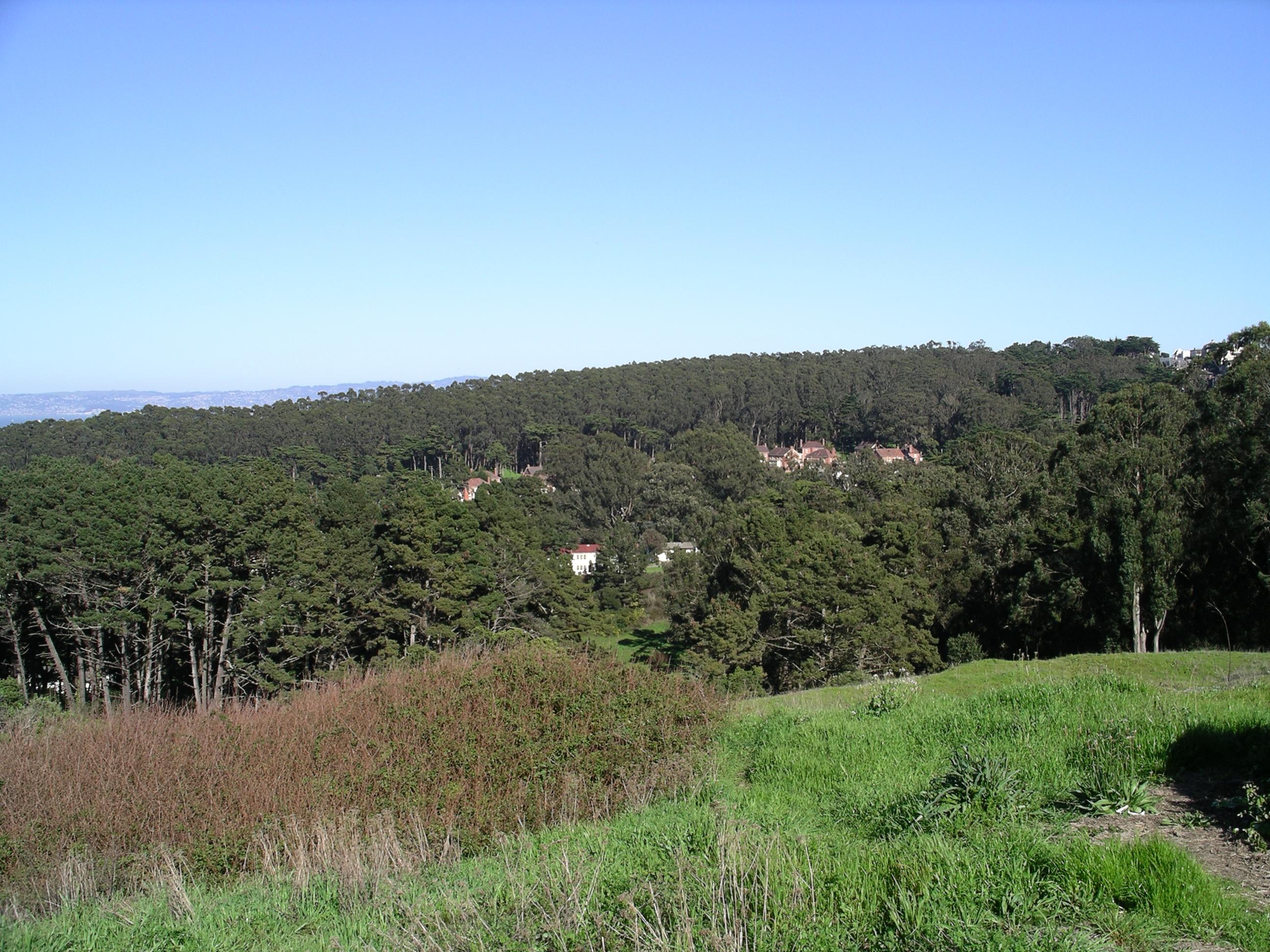 imgp0297.jpg