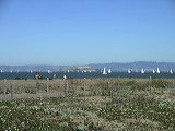 imgp0272