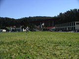 imgp0275