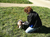 imgp0279