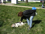 imgp0281