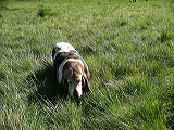 imgp0283
