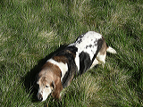 imgp0284