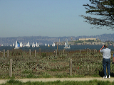 imgp0287