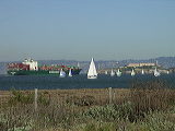 imgp0289