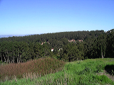 imgp0297