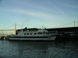 imgp0345