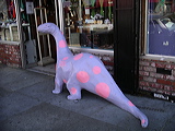 imgp0377