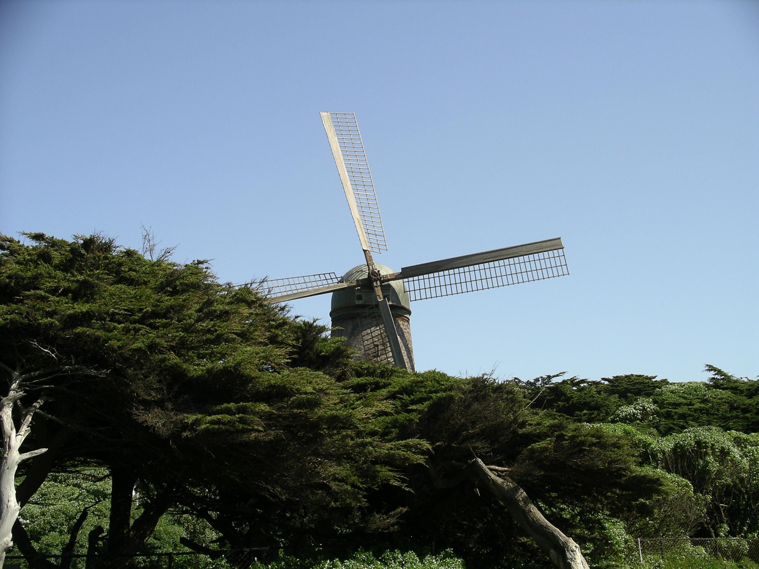 imgp0397.jpg
