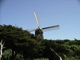 imgp0397