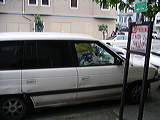 imgp0485