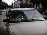 imgp0486