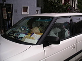 imgp0487