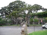 imgp0501