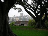 imgp0527