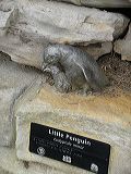 imgp0591