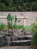 imgp0620