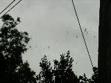 imgp0622