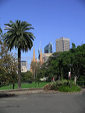 imgp0914