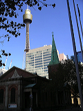 imgp0933