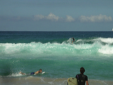 imgp0966