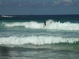 imgp0967