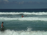 imgp0971
