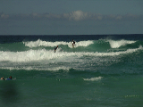imgp0979