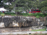 imgp1110