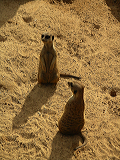 imgp1467